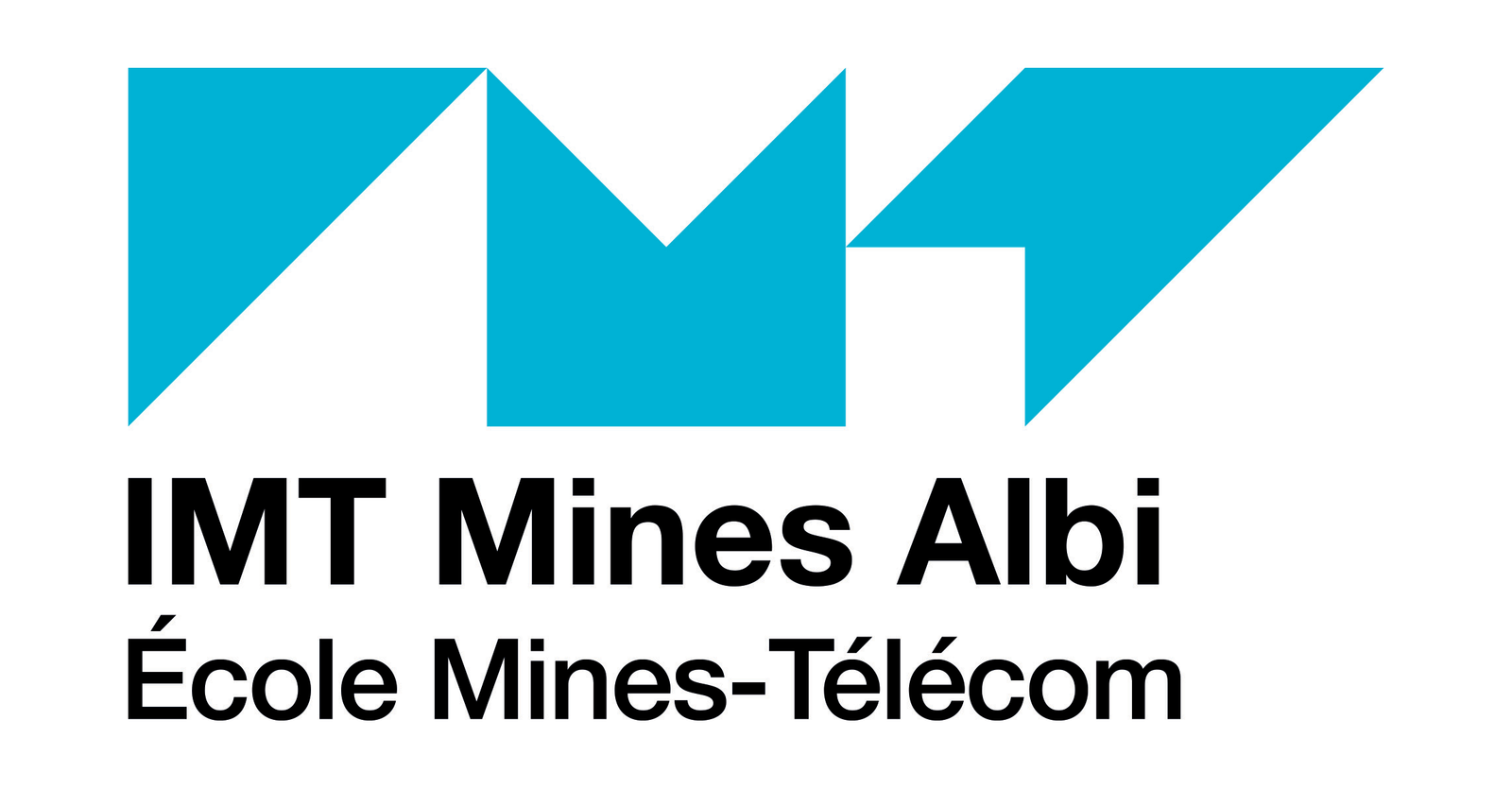 IMT Mines Albi